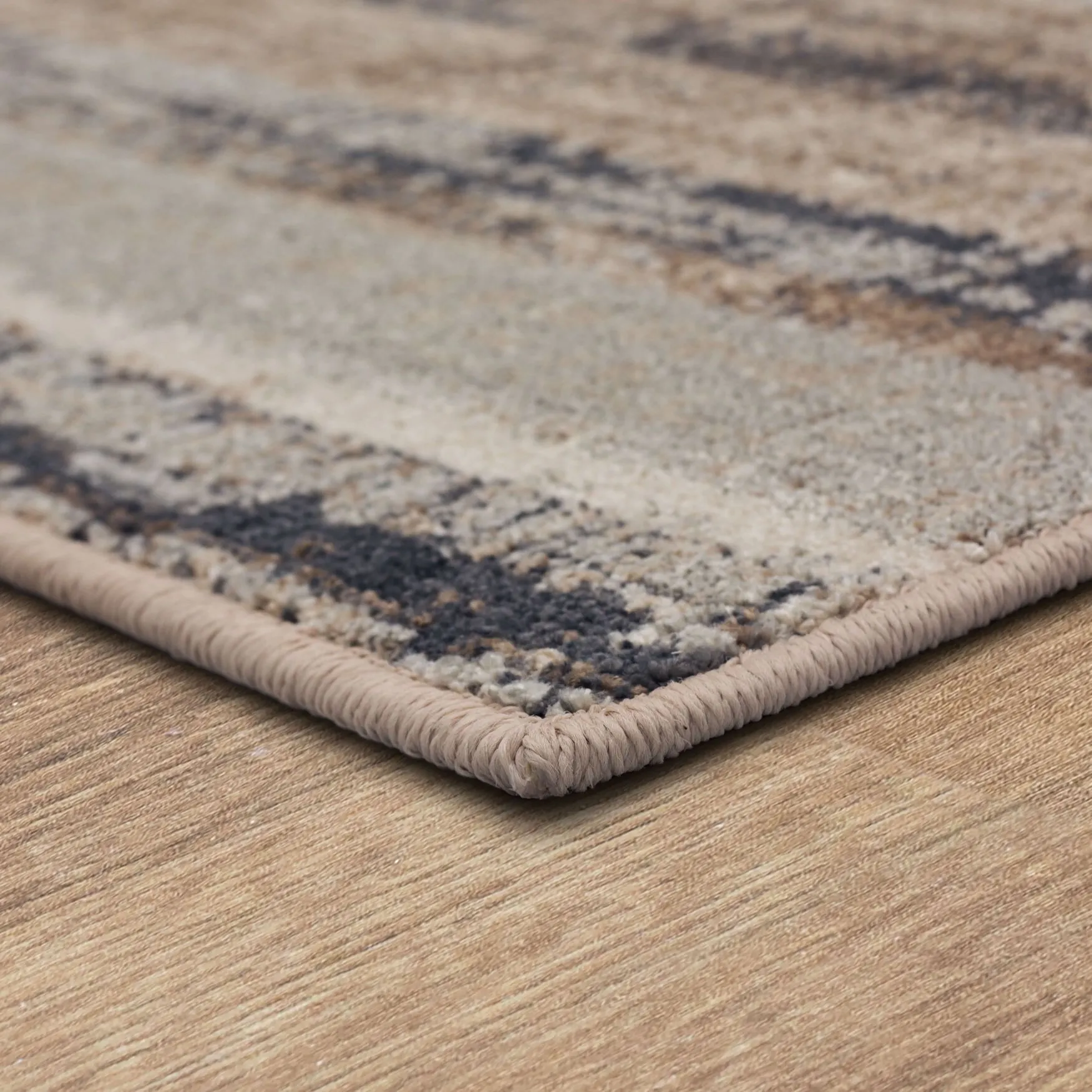 Payette Area Rug